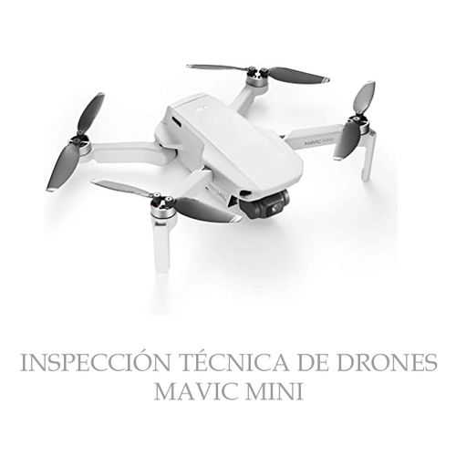 Inspección Técnica Drones Mini Series / Mavic Air